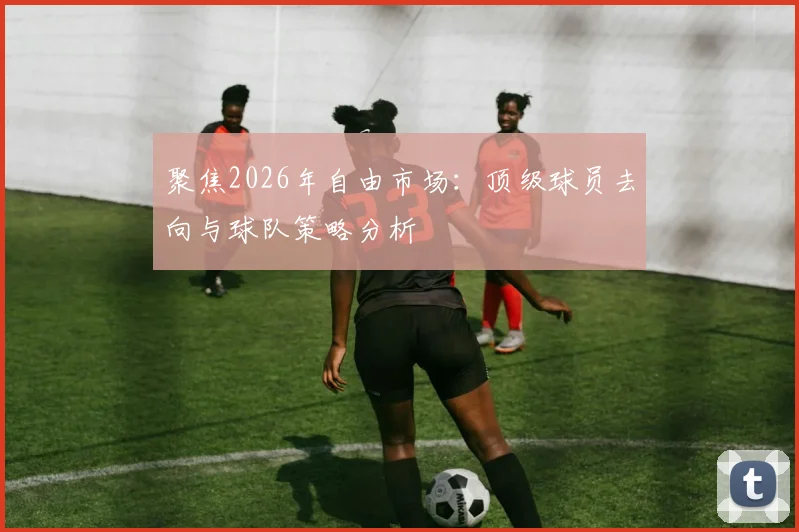聚焦2026年自由市场：顶级球员去向与球队策略分析